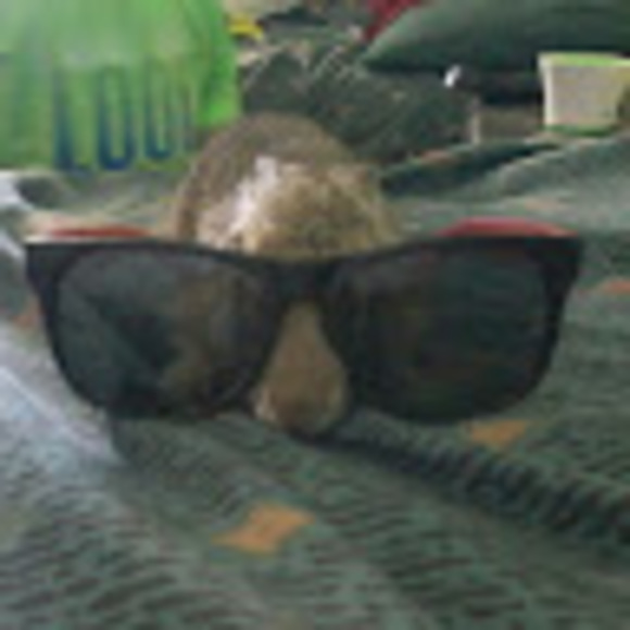 lazycube34
